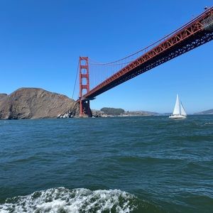 Meet your Posher, Jenny